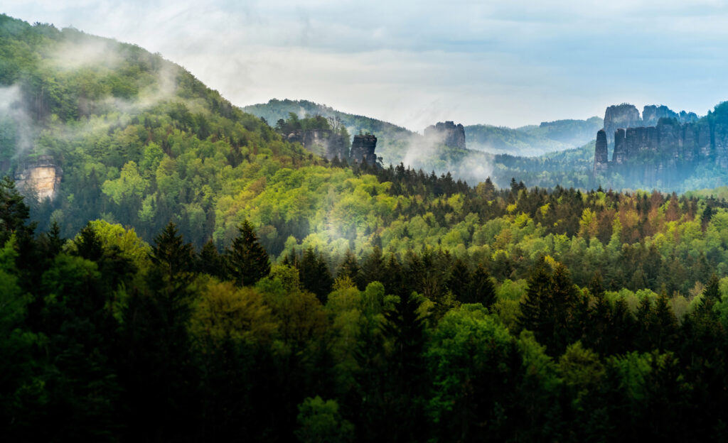 Foto von einer gesunden Naturlandschaft